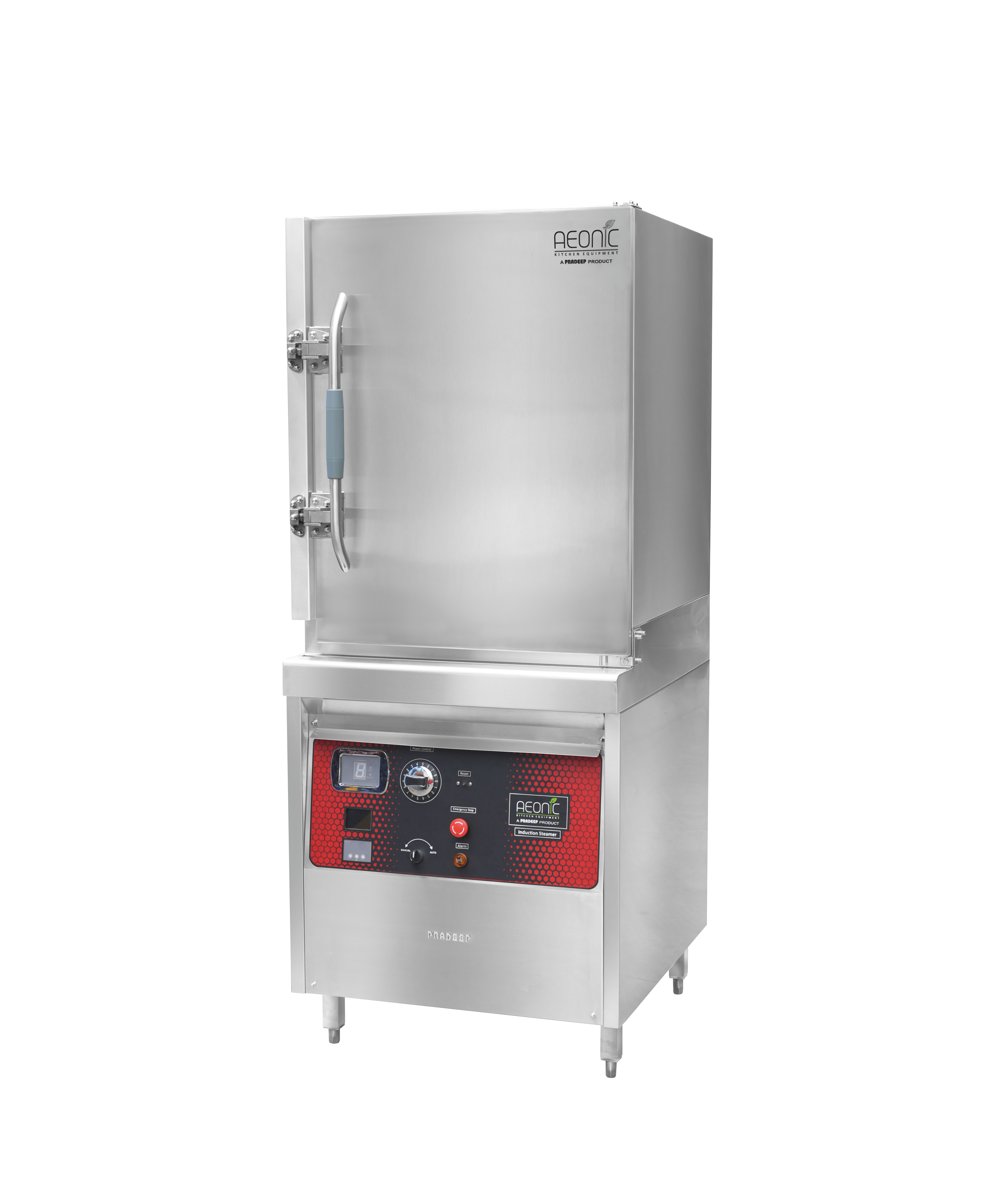 Commercial Induction Steamer — Idly / Dimsum / Rice